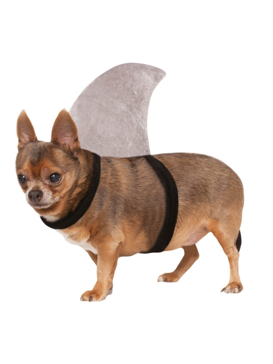 Rubies Costume 280048 Shark Fin Pet Costume, Medium & Large
