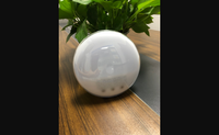 Smart wake-up light alarm clock wifi voice control