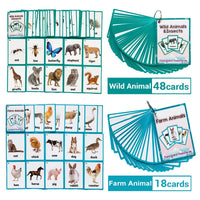 26 Themes 760 Cards Baby  English Learning Word Card Children's Educational Toys for Kids Early Learning Montessori Flashcards