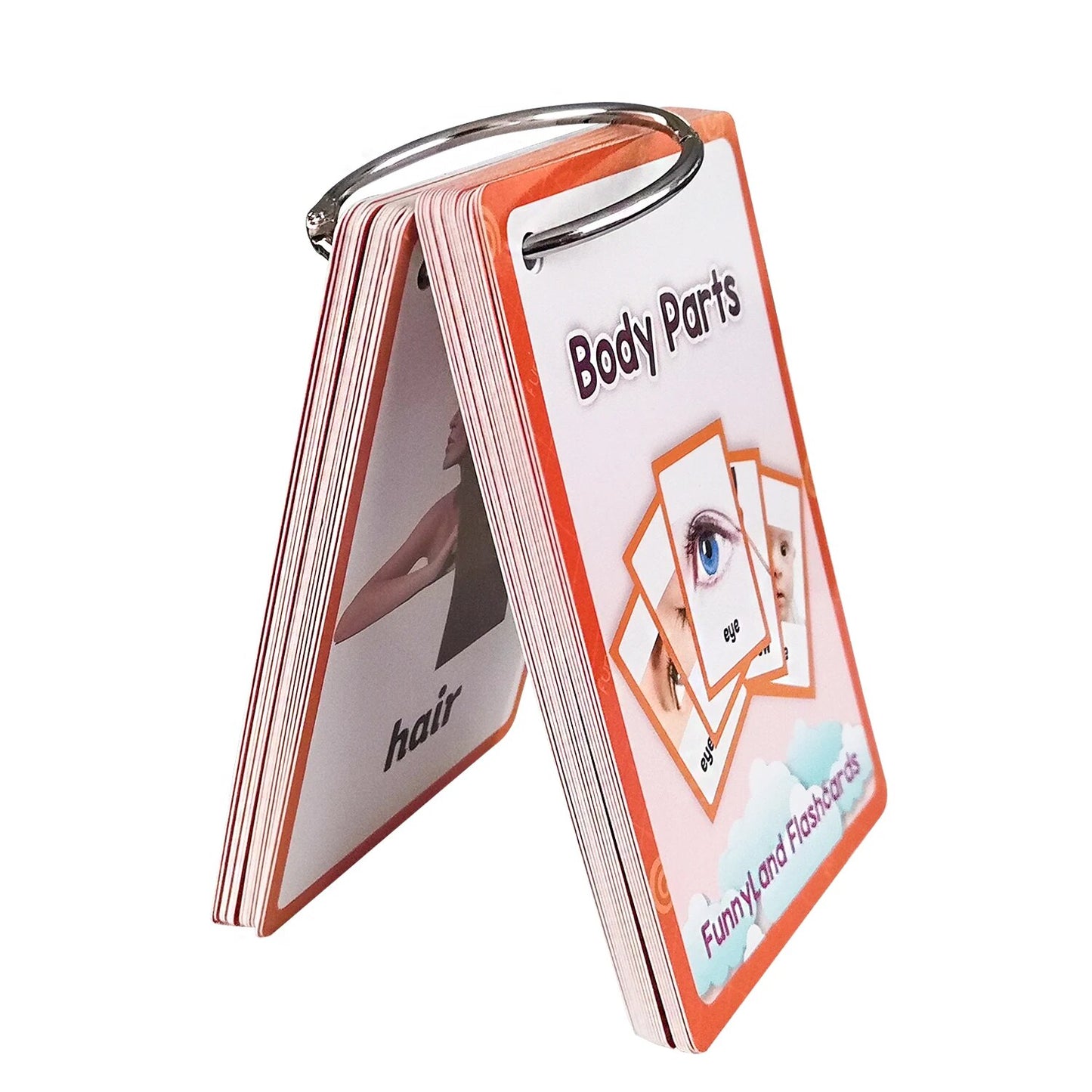 26 Themes 760 Cards Baby  English Learning Word Card Children's Educational Toys for Kids Early Learning Montessori Flashcards