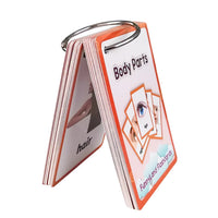 26 Themes 760 Cards Baby  English Learning Word Card Children's Educational Toys for Kids Early Learning Montessori Flashcards