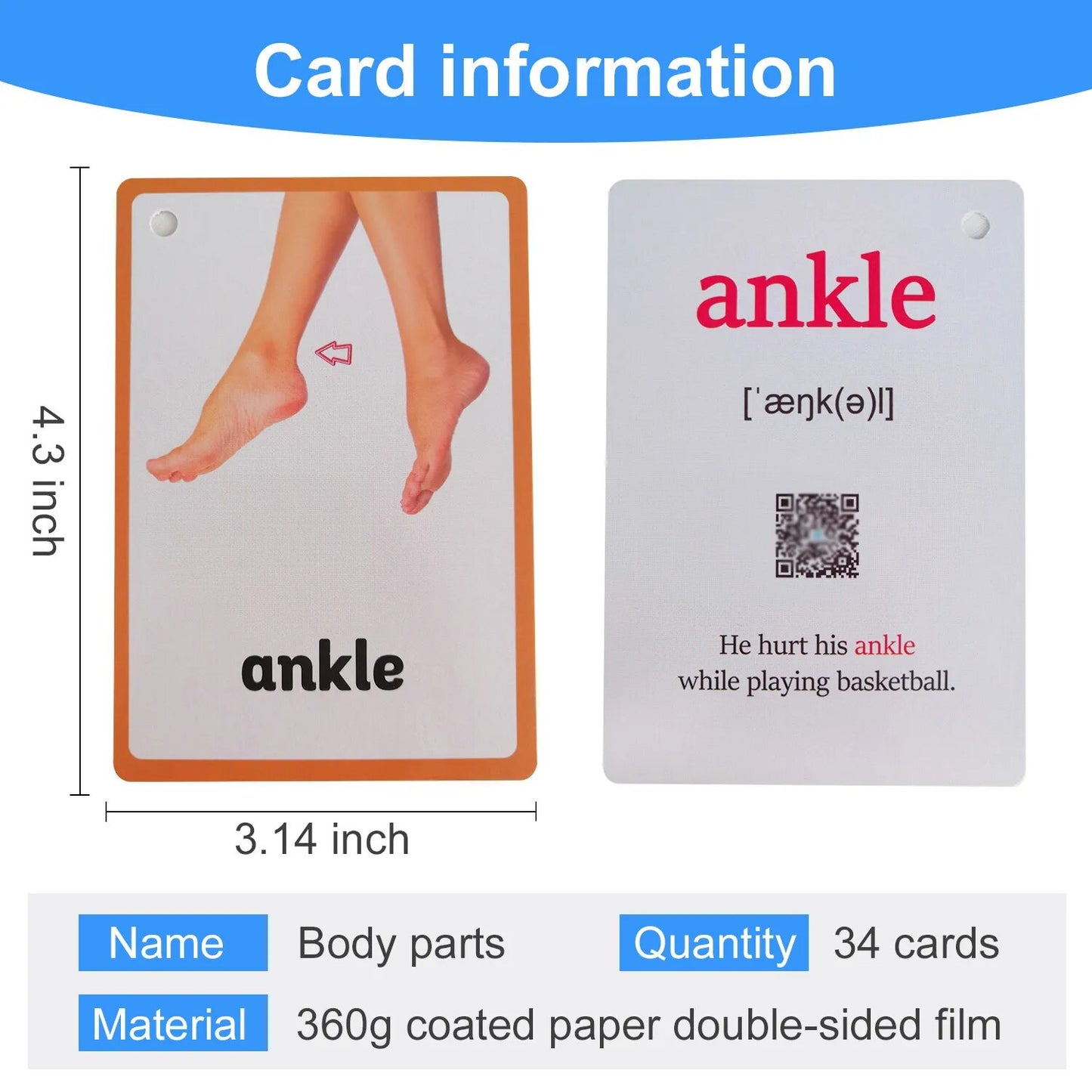 26 Themes 760 Cards Baby  English Learning Word Card Children's Educational Toys for Kids Early Learning Montessori Flashcards