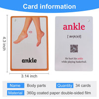 26 Themes 760 Cards Baby  English Learning Word Card Children's Educational Toys for Kids Early Learning Montessori Flashcards