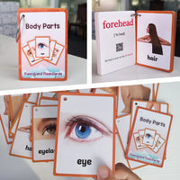 26 Themes 760 Cards Baby  English Learning Word Card Children's Educational Toys for Kids Early Learning Montessori Flashcards