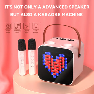 Luxury Family KTV Portable Karaoke Bluetooth Speaker Box with 2 Microphones