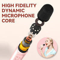 Luxury Family KTV Portable Karaoke Bluetooth Speaker Box with 2 Microphones