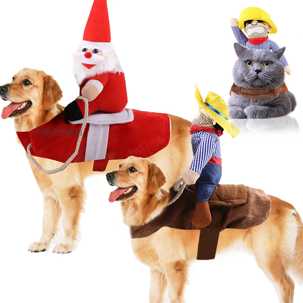 Pet Products